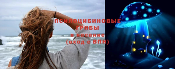 эйфоретик Дмитриев