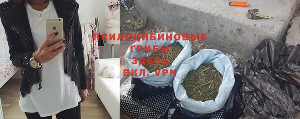 твердый Горно-Алтайск