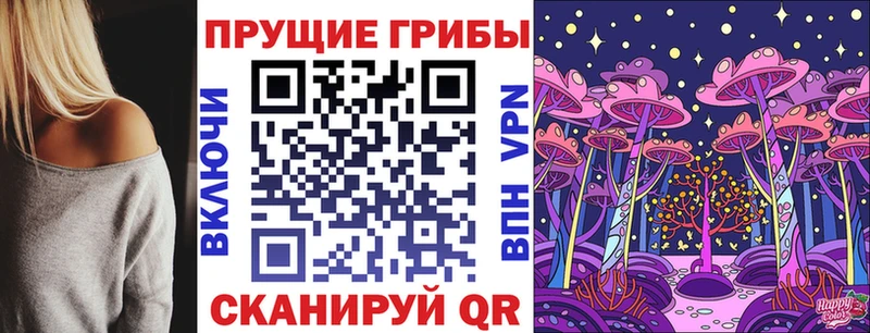 где купить наркотик  Добрянка  Псилоцибиновые грибы Psilocybine cubensis 